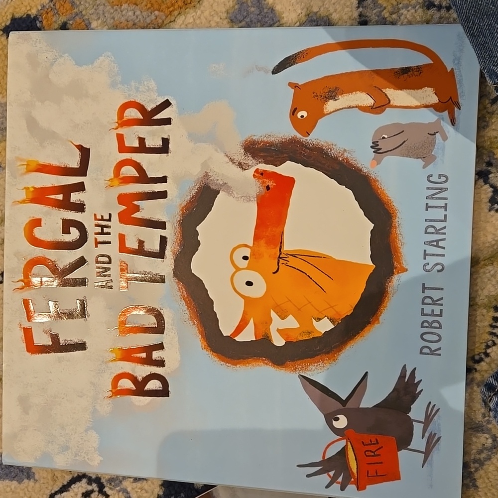 Fergal and the Bad Temper Book